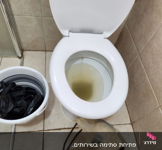 אסלה עם מים עכורים ודלי עם שקיות שחורות